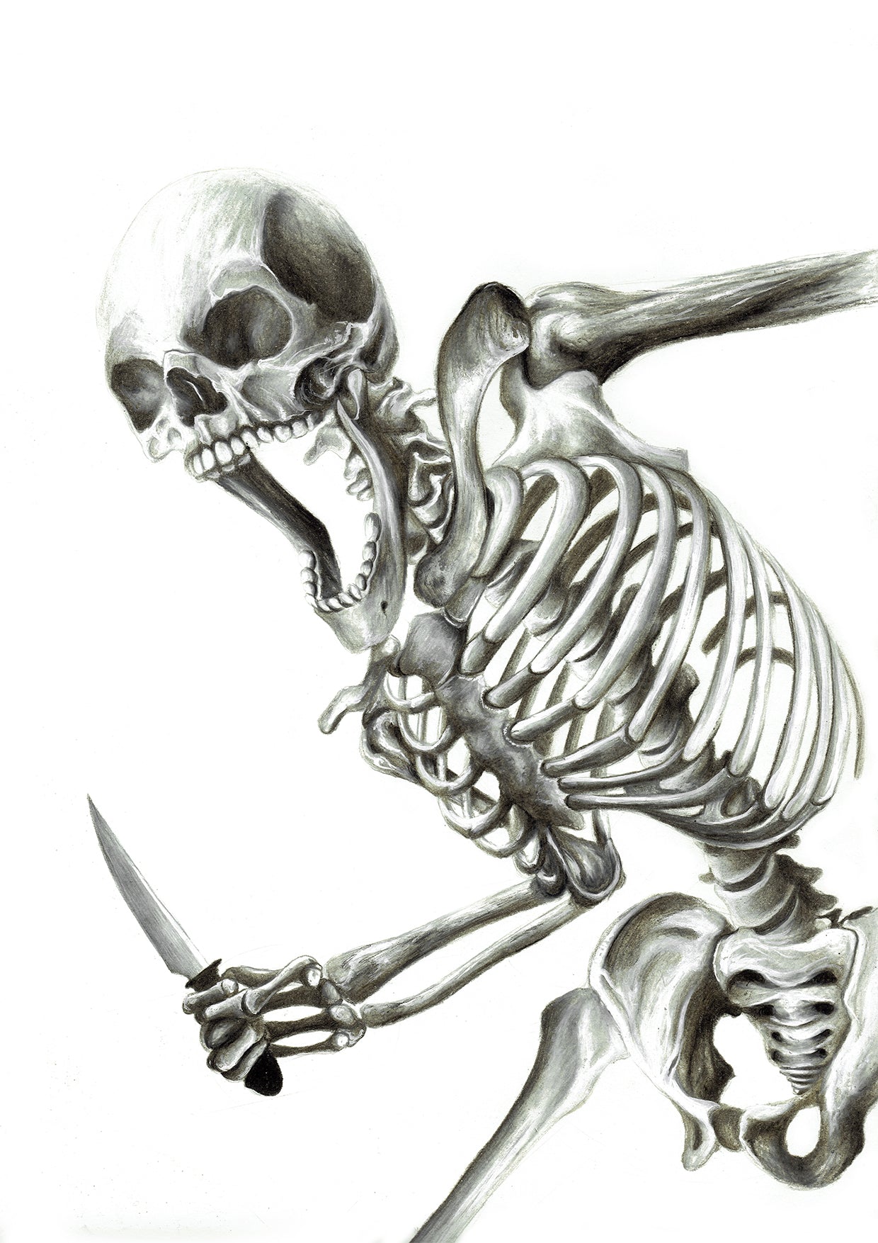 XENOMORPH
