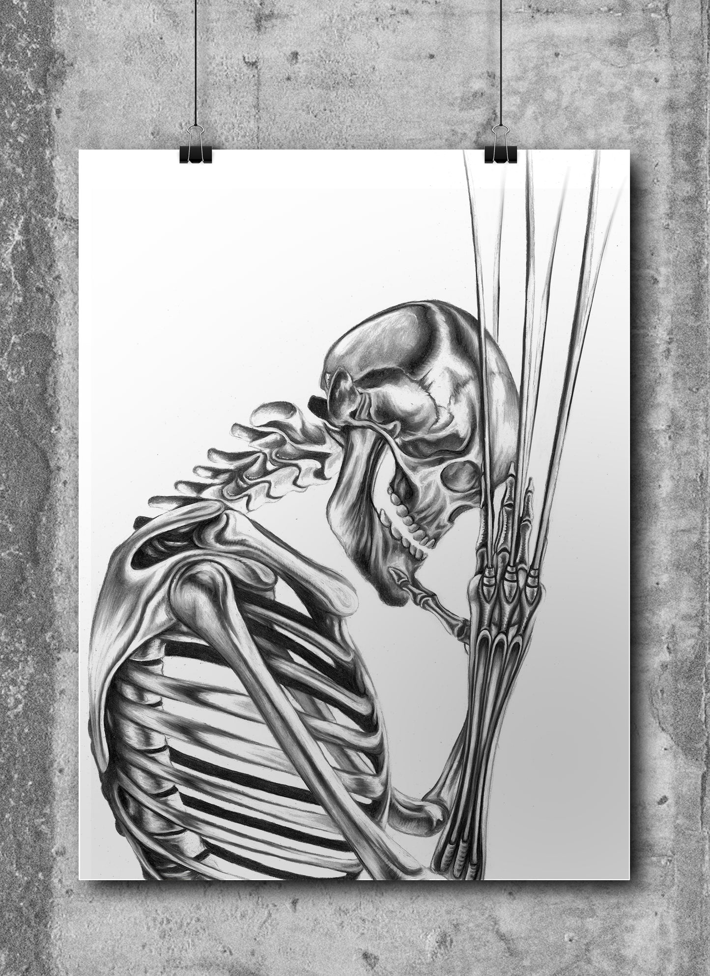 XENOMORPH