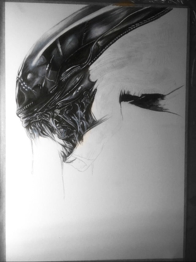 ALIEN VS PREDATOR | 2er-Set