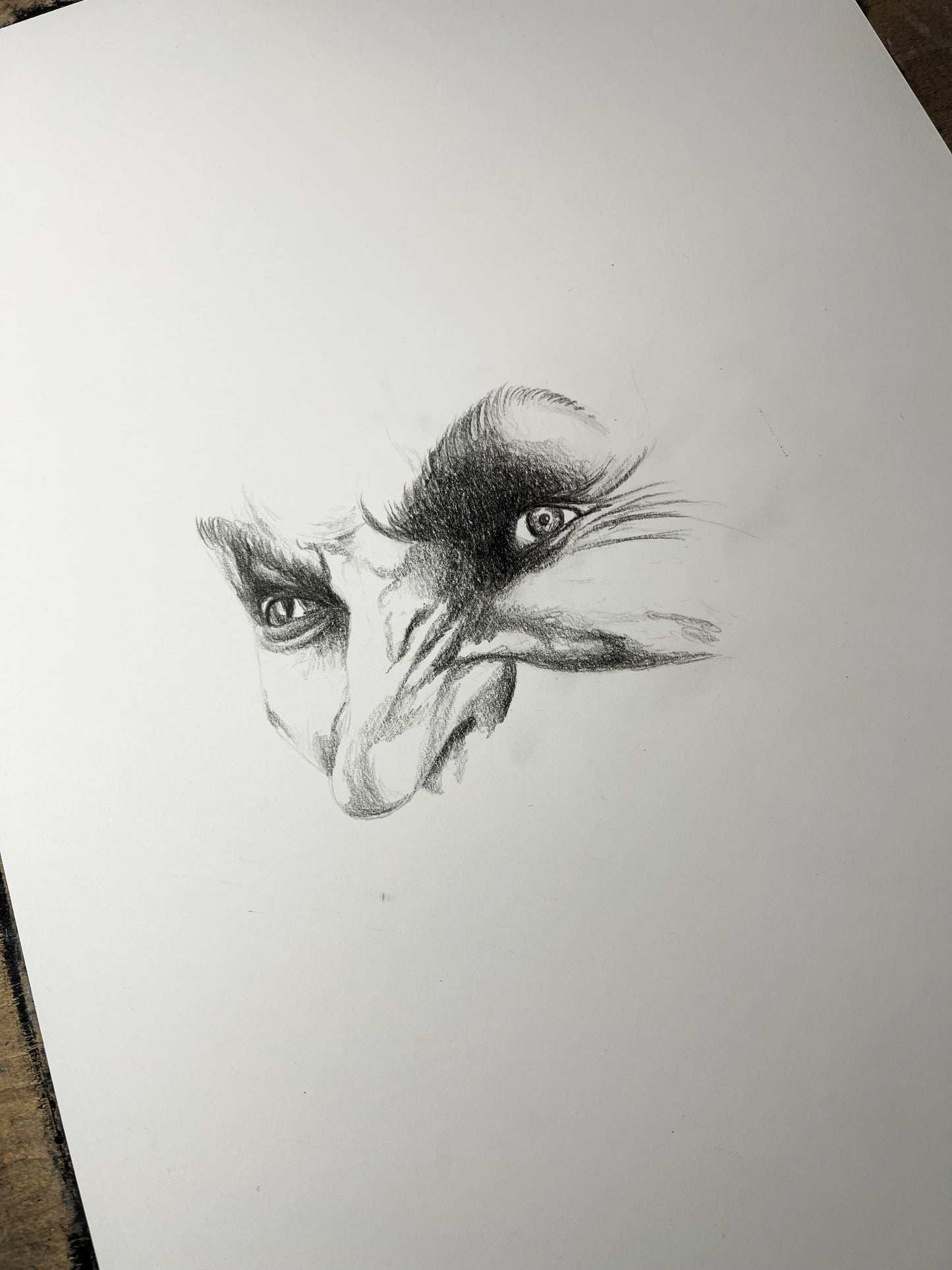 PREDATOR Nr.2
