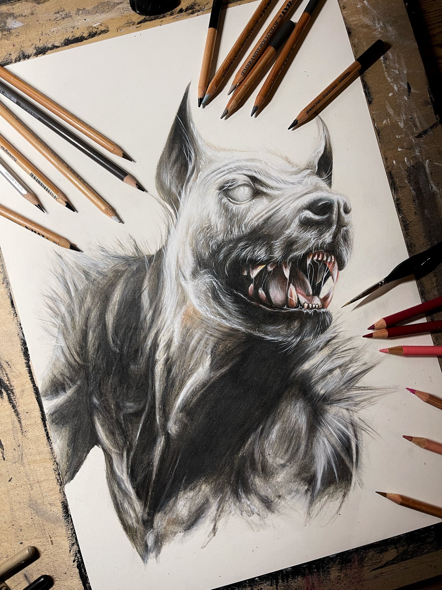 PALMYRA WOLF | Original