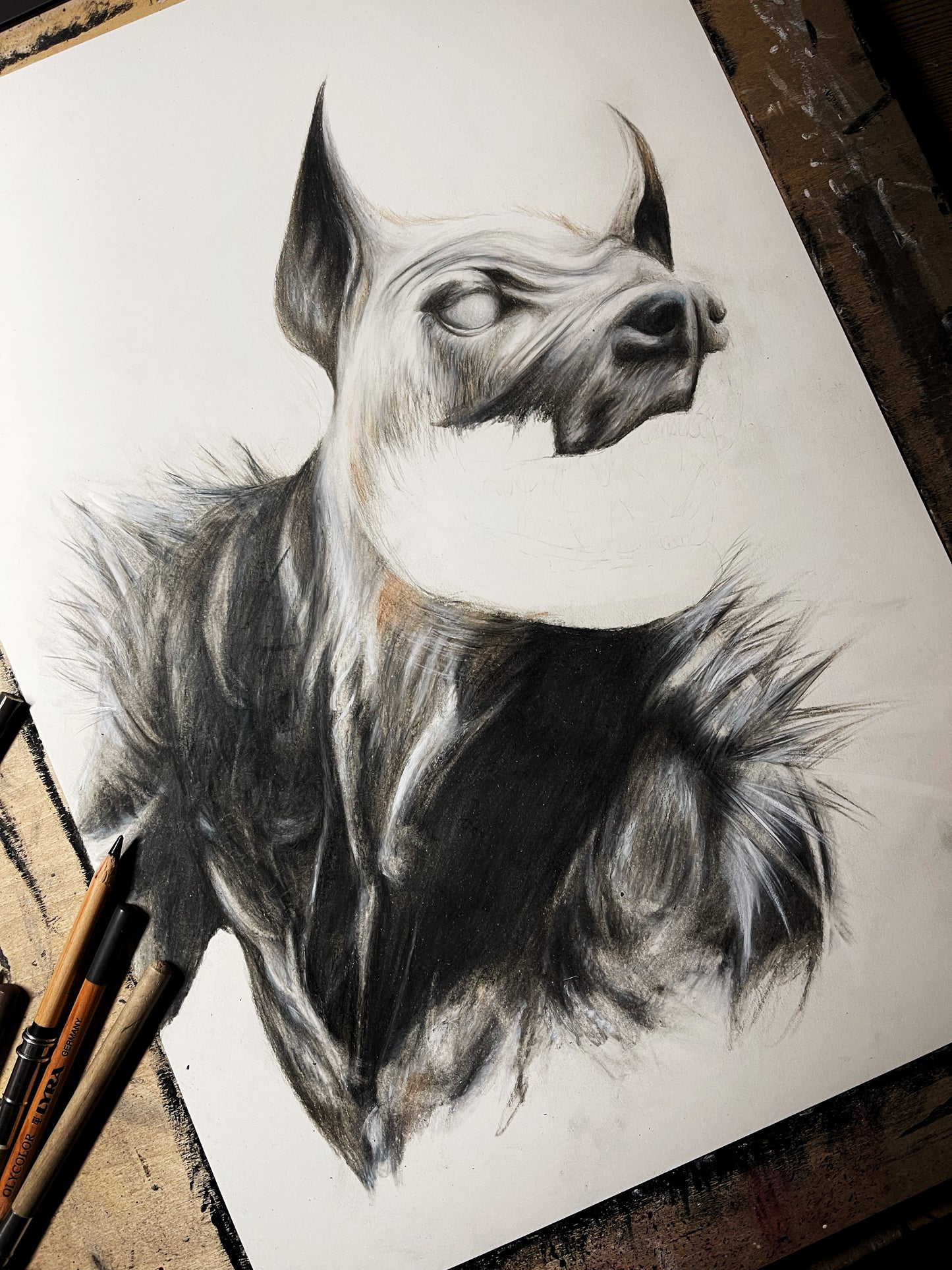PALMYRA WOLF | Original