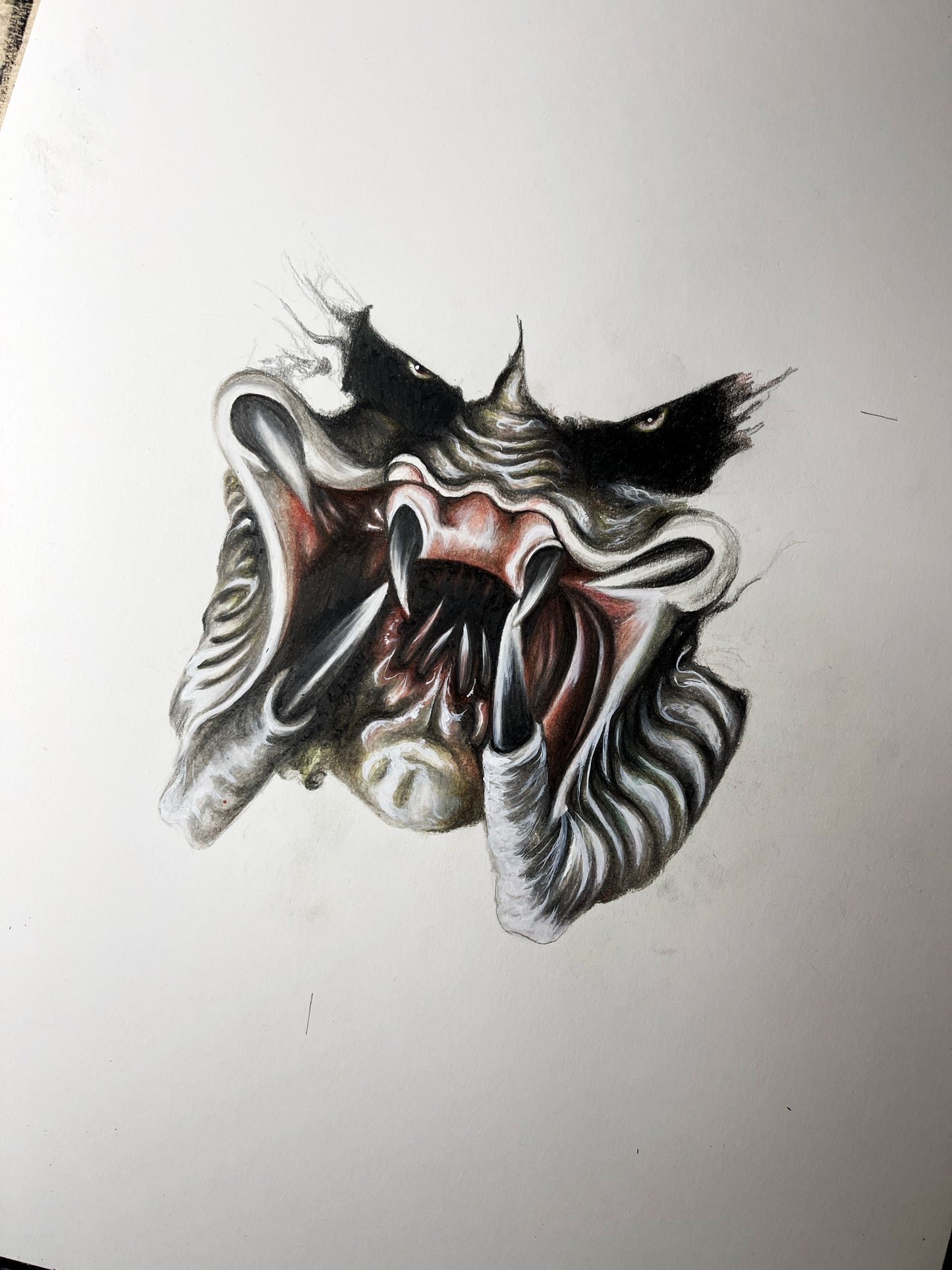 PREDATOR No5