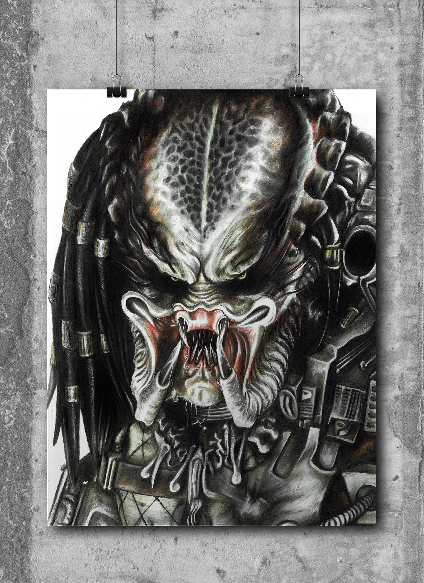 PREDATOR No5