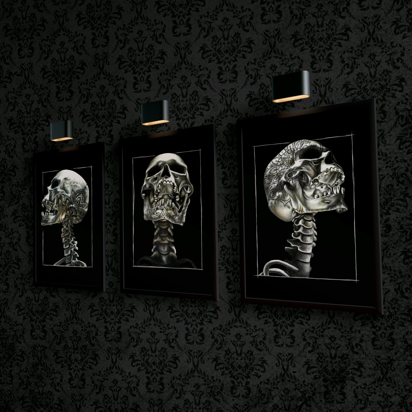DIE KNOCHEN | 3er-Set | Schwarze Edition