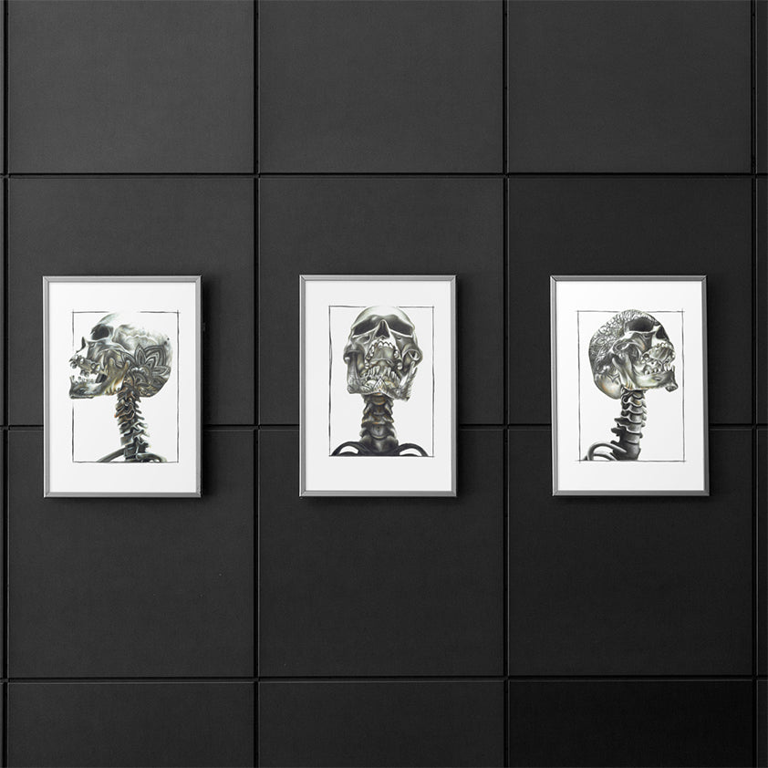 DIE KNOCHEN | 3er-Set | Weiße Ausgabe