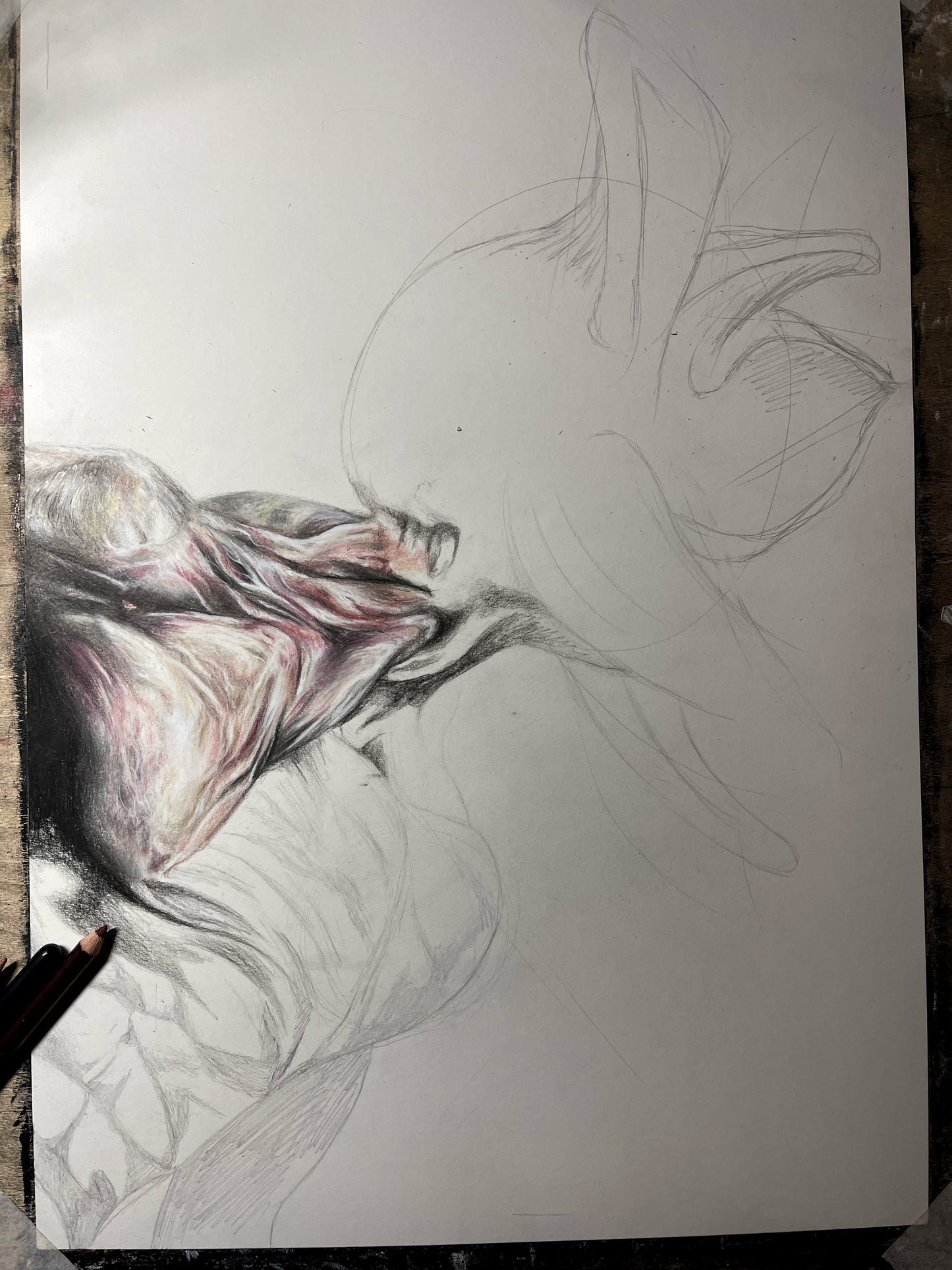 DER JOKER | JOAQUIN PHOENIX/Original
