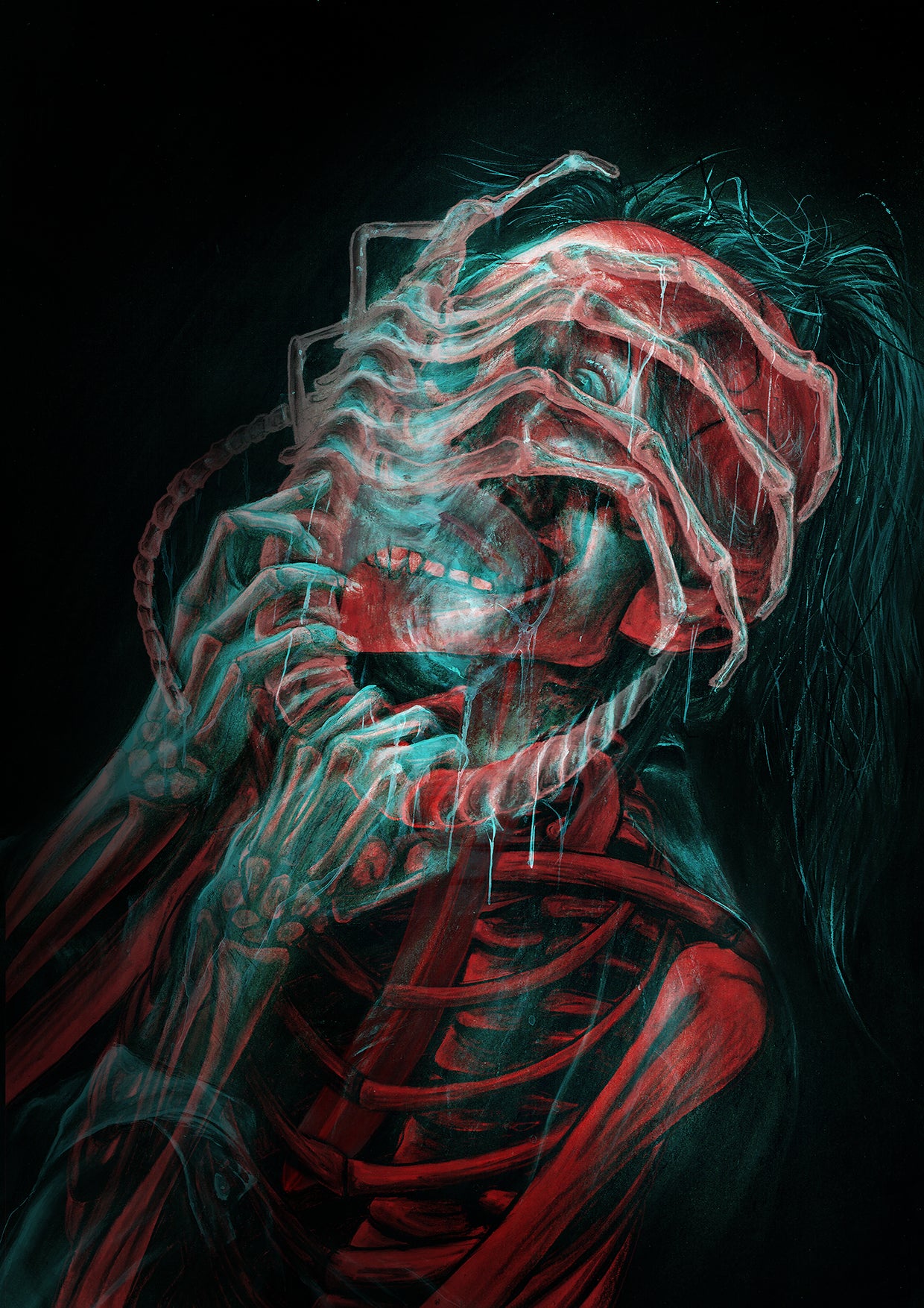 FACE HUGGER | X-Ray