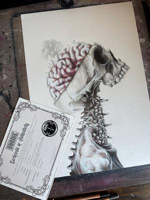 Descriptive image text