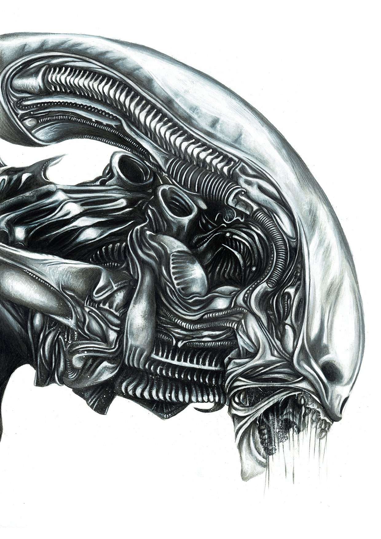 alien vs predators drawing｜Tìm kiếm TikTok